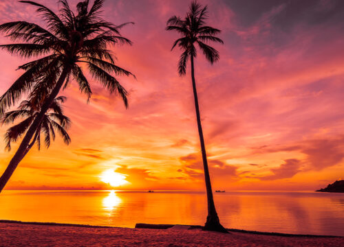 Why You Should Choose a Local Travel Company
