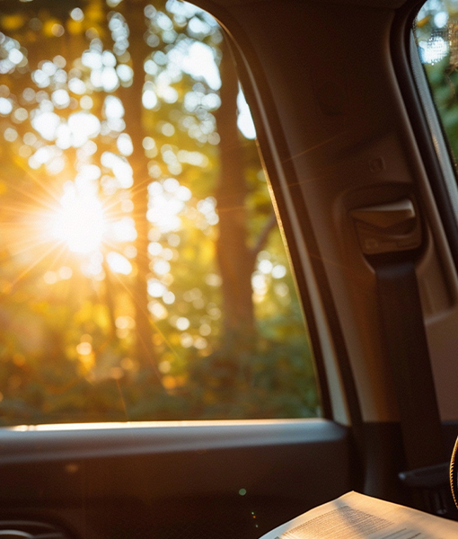 Road Trip Adventures